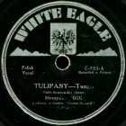 Tulips (Tulipany), tango (Jurek)