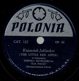 Geese behind the water (Gęsi za wodą), song