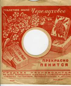 ���� ����������� (Iv110100)